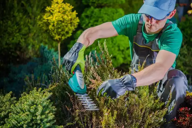 landscaping services Yorkville